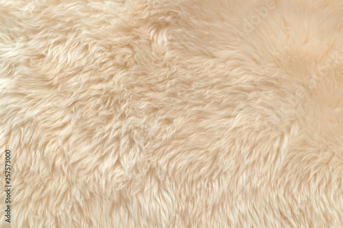 White soft wool texture background, cotton wool, light natural animal wool, close-up texture of white fluffy fur, wool with beige tone, fur with a delicate peach tint