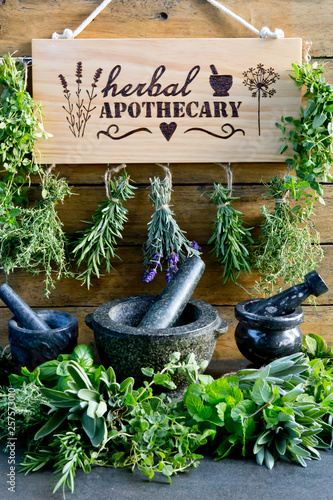 Картината върху платно Herbal Apothecary with herb dryer, fresh herbs,  and mortar and pestle