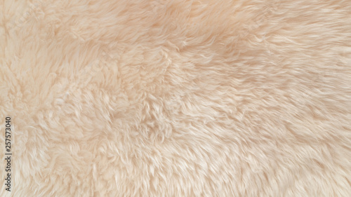 White soft wool texture background, cotton wool, light natural animal wool, close-up texture of white fluffy fur, wool with beige tone, fur with a delicate peach tint