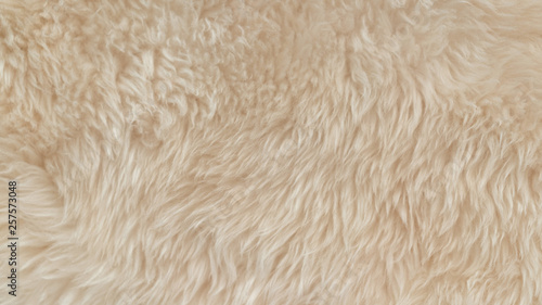 White soft wool texture background, cotton wool, light natural animal wool, close-up texture of white fluffy fur, wool with beige tone, fur with a delicate peach tint