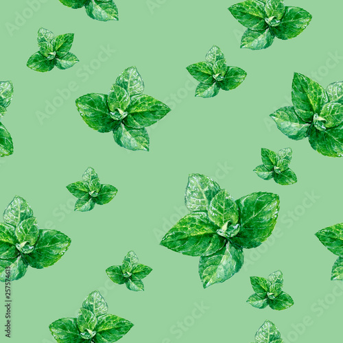 Watercolor hand drawn mint isolated seamless pattern.