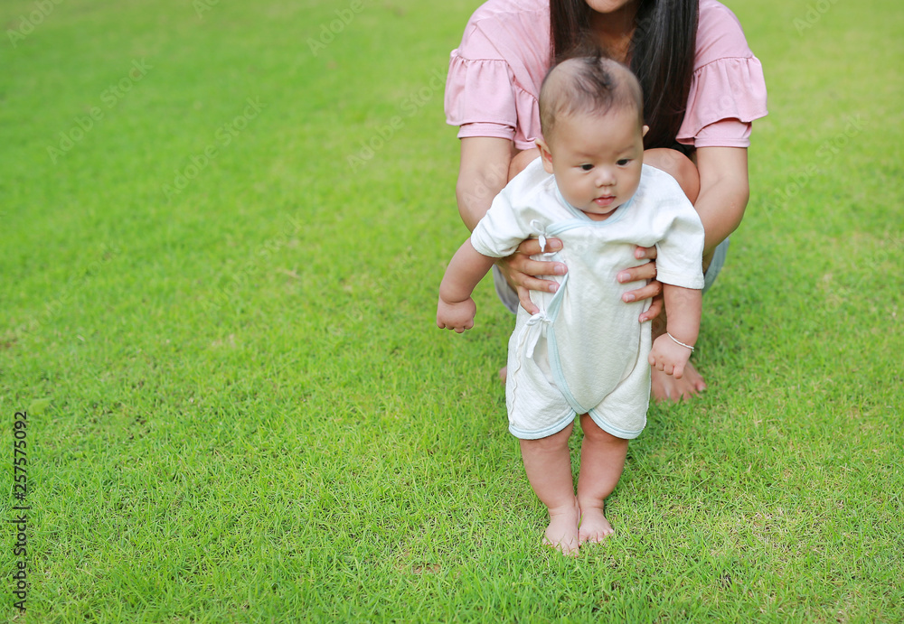 Fototapeta premium First steps of newborn baby in the green grass garden.