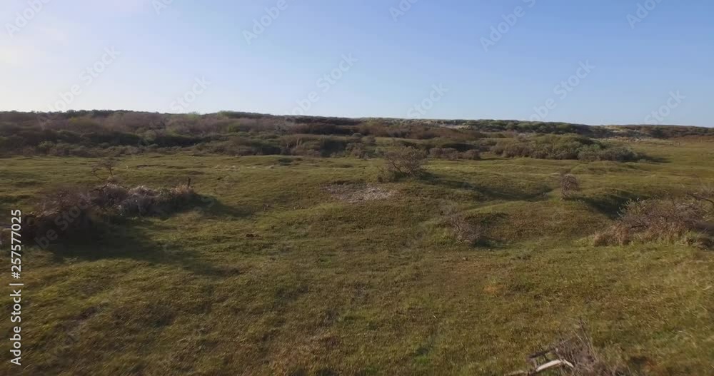 Aerial: The dune nature reserve of Oostkapelle with grazing ponies Aerial: The dune nature reserve of Oostkapelle with grazing ponies