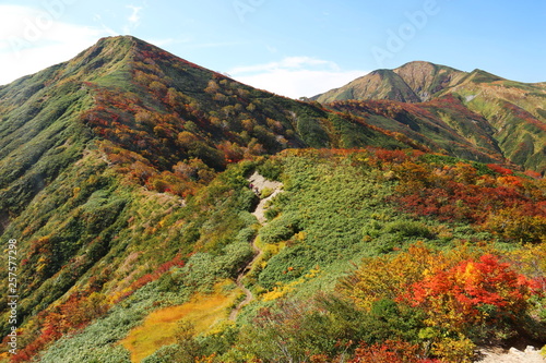  朝日連峰の秋 大朝日岳への道 紅葉 古寺山稜線からの眺望