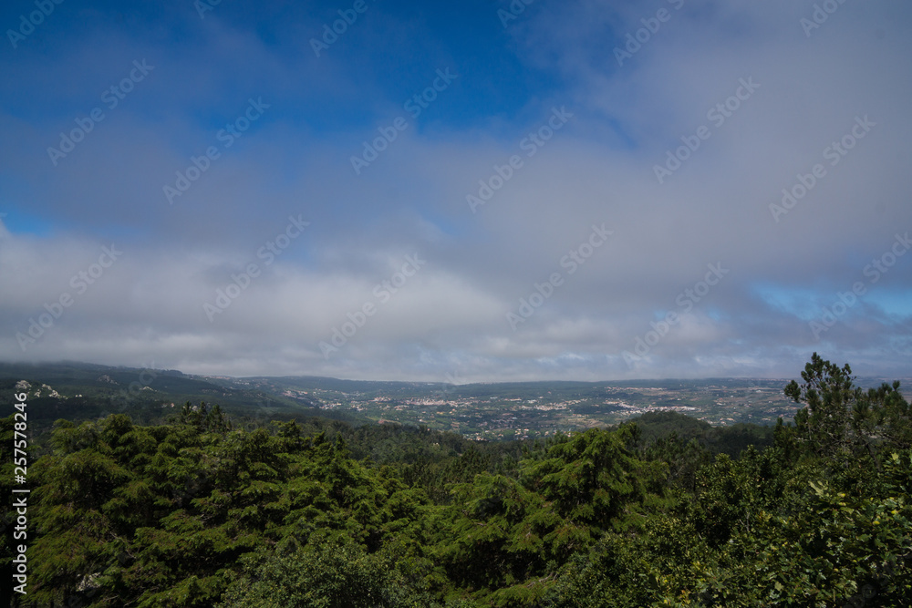 blue sky with clouds and forest