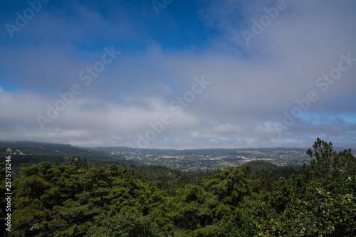 blue sky with clouds and forest