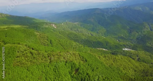 Aerial view of a large forest on a mountain