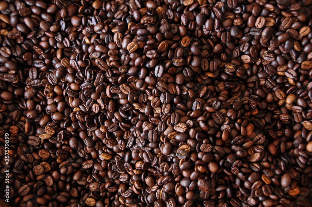 coffee bean texture background coffee bean texture background