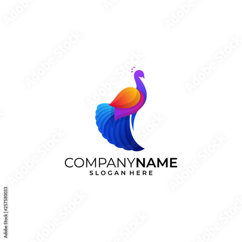 Peacock Colorful illustration vector template