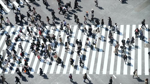 Wallpaper Mural 渋谷スクランブル交差点・3月・俯瞰 Torontodigital.ca