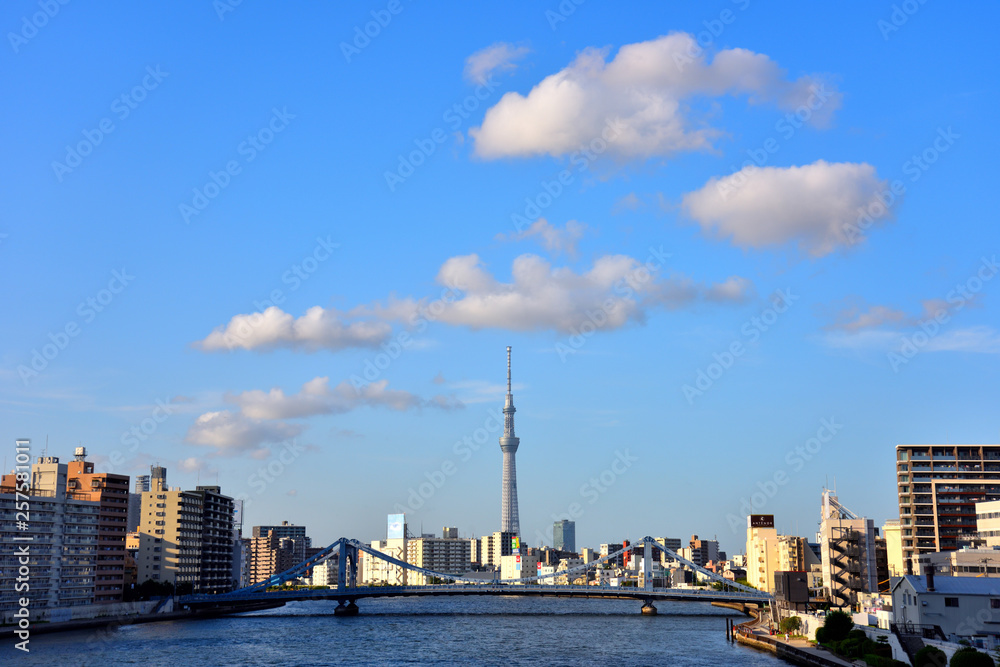 東京スカイツリーの上に浮かぶ白い雲 東京スカイツリーの上に浮かぶ白い雲