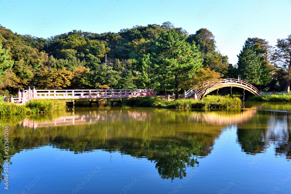 快晴の池に映る称名寺の景色