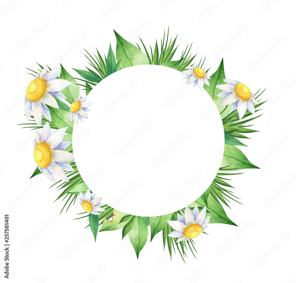 Rounded frame with camomile. Rounded frame with camomile.