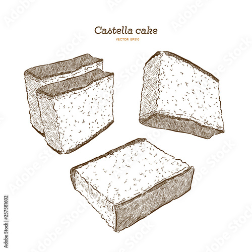 Japanese sponge cake - castella. Hand draw sketch vector.