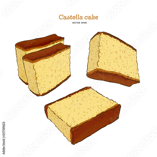 Obraz na plátne Japanese sponge cake - castella. Hand draw sketch vector.