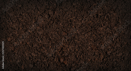 Fotografie, Obraz Soil texture background