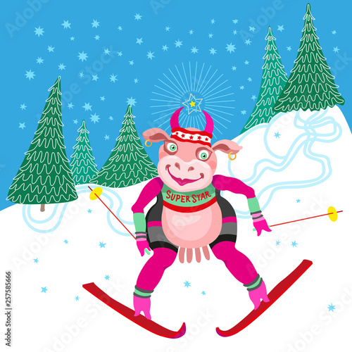 Crazy Cow champion. Humorous winter vacation holidays tee shirt print with blue snowflakes. Cartoon cow goes skiing slalom between fir trees from the mountain. Book cover, post card, party invitation