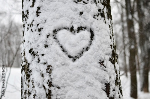 Valentine's Day. Heart on a snowy birch trunk.