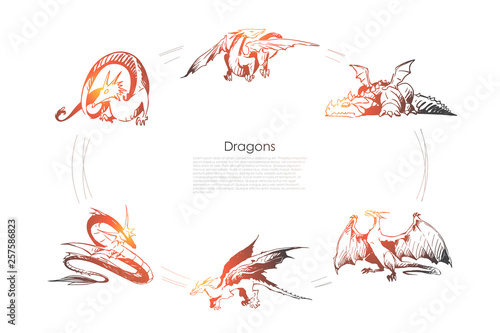 Dragons - different types of dragons vector concept set