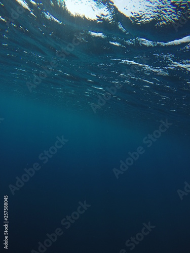 Underwater blue background in sea © tatyanadjemileva
