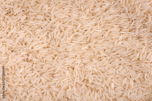 rice closeup. rice seeds. rice harvest