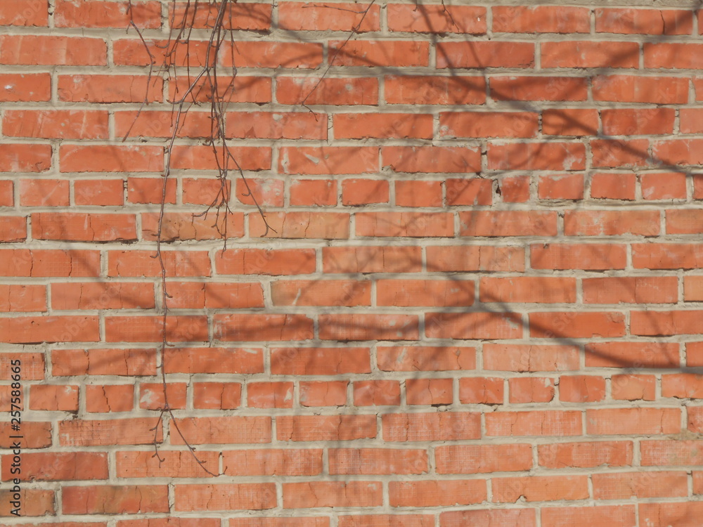 Obraz premium red brick wall background