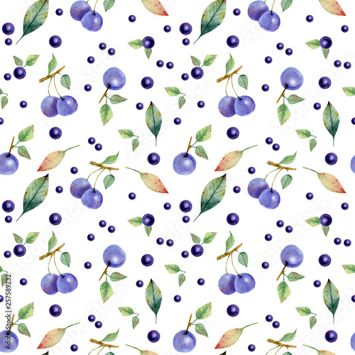 Fotografija Seamless pattern of branch e berries of buckthorn and sloe