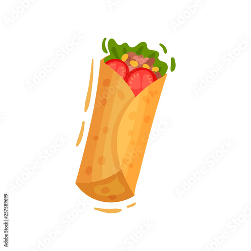 Mexican food on white background. Taco or burrito.