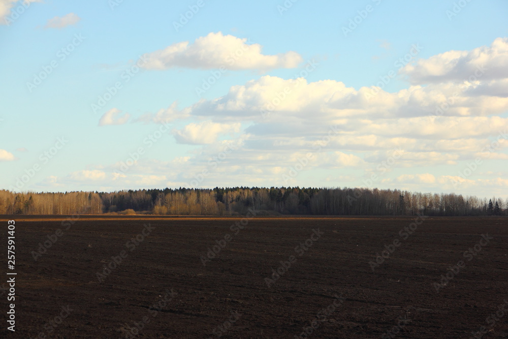 Brown plowed field in spring against the forest on the horizon and blue sky with clouds - agriculture, farming, winter crops