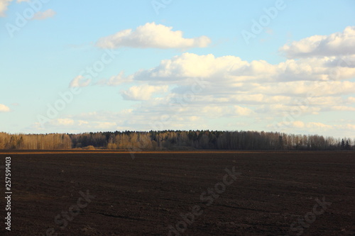 Brown plowed field in spring against the forest on the horizon and blue sky with clouds - agriculture, farming, winter crops