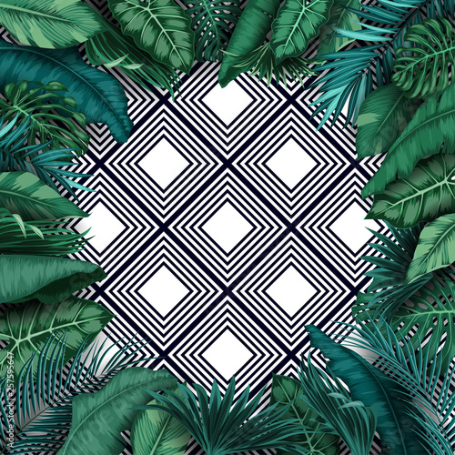 Tropical forest background