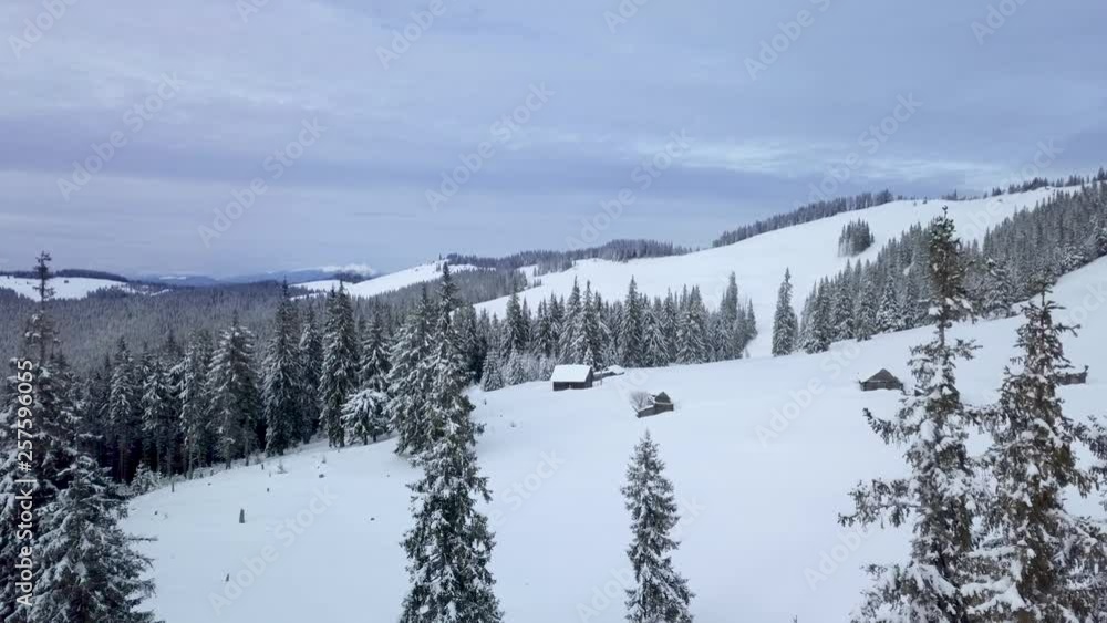 Flying over the Carpathians in winter. Wooden houses of shepherds are on a snowy slope. The roofs of the houses and the branches of the trees are covered with snow. Aerial footage, 4K Flying over the Carpathians in winter. Wooden houses of shepherds are on a snowy slope. The roofs of the houses and the branches of the trees are covered with snow. Aerial footage, 4K