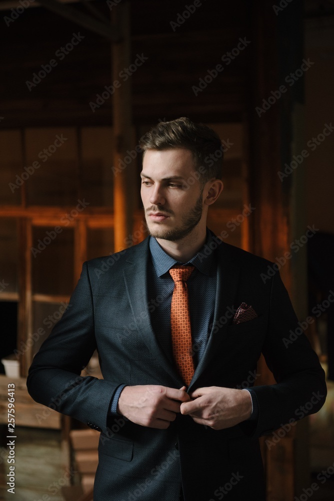 Elegant Handsome Man Classical Suit Poses Stock Photo 446675473 |  Shutterstock