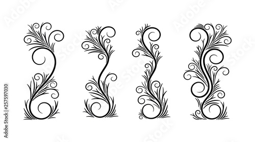 Black and white vector curl flourish vignette