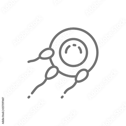 Fertilization of egg with sperm, fertility line icon.