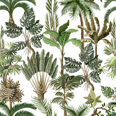 Wandcirkels Botanische print patronen Exotisch palmen en monstera vintagepatroon  © Yumeee