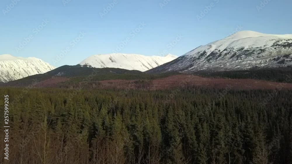 Spring views from Alaska's Kenai peninsula Spring views from Alaska's Kenai peninsula