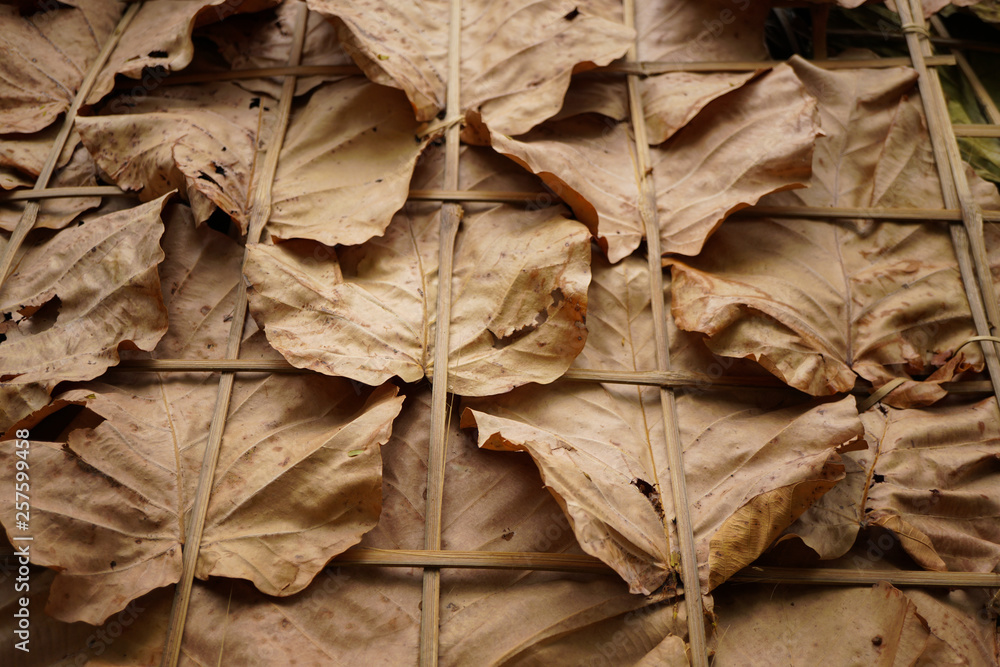 Dry leaf texture abstract background.