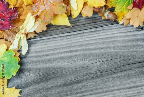 Frame of multicolored autum...