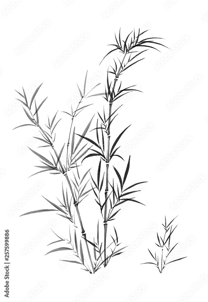 Digital illustration of bamboo, black and white. Digital illustration of bamboo, black and white.