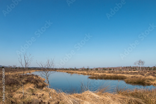 Kendlmuehlfilzen  Moor  Hochmoor