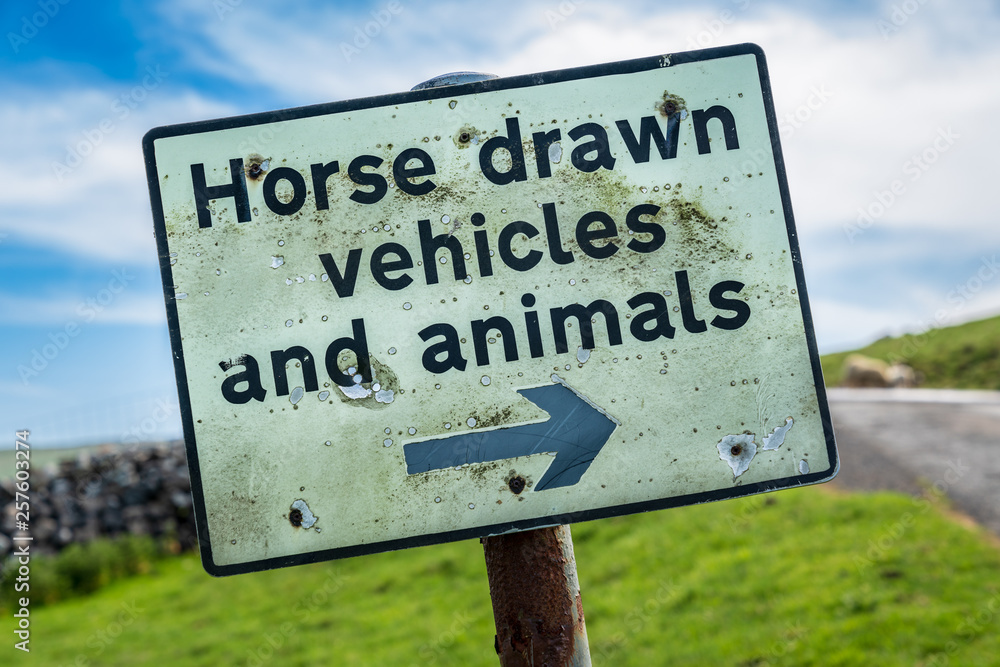 Sign: Horse drawn vehicles and animals - with some sheep in the background, seen near Halton Gill, North Yorkshire, England, UK