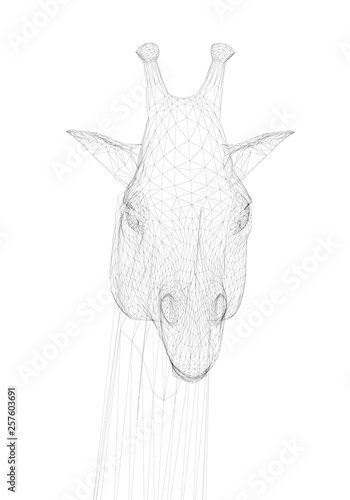 Polygonal giraffe head. Front view. Head of a giraffe from black lines on a white background. Vector illustration
