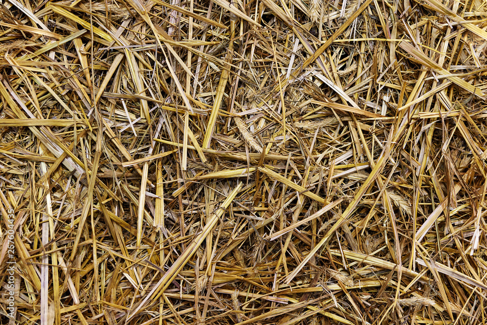 Close up of a straw background texture (high details). Close up of a straw background texture (high details).