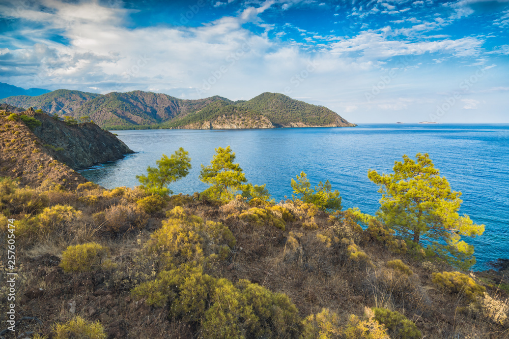 Wild nature of turkish sea coast