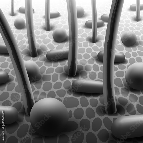 Vector illustration of spherical and rod-shaped bacteria on skin with hairs, microflora under microscope