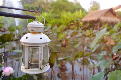 White metal lantern hanging above the pond of lotus leaves 