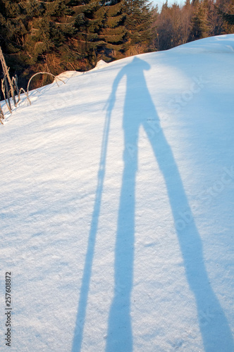 shadows in the snow photo