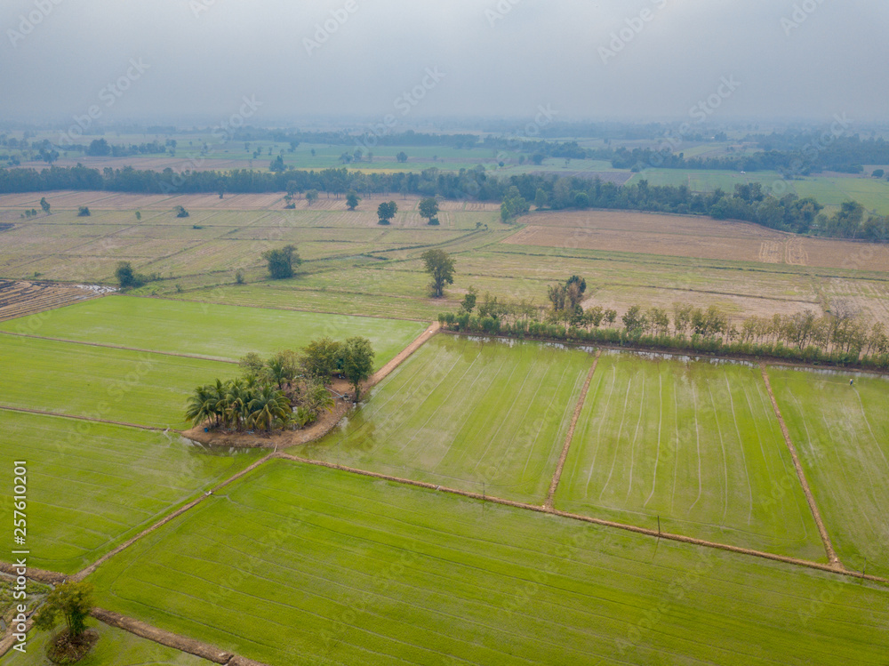 Aerial view Asian green fields