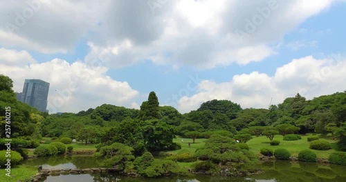 Tilt, Clouds and trees view in Yoyogi park